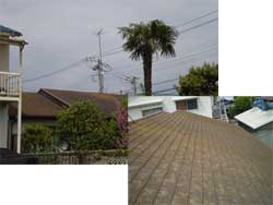 屋根塗替え施工例